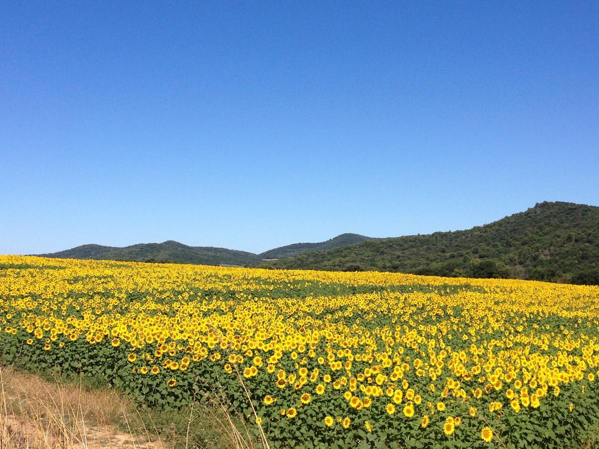 Agriturismo Poggio Tondo Βίλα Casa Agresti Εξωτερικό φωτογραφία